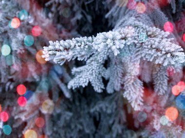 Önplanda parlayan renkli bokeh neşeli bir hava yaratıyor, sıcaklık ve kutlama atmosferi yaratıyor. Arka planda bir kış manzarası mevsimlik cazibenin büyülü bir karışımıyla Noel ve Yeni Yıl 'ın özünü yakalıyor..