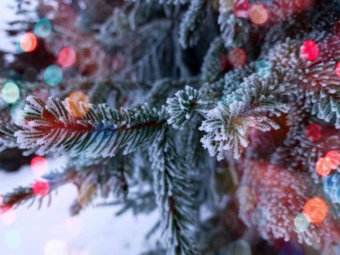 Önplanda parlayan renkli bokeh neşeli bir hava yaratıyor, sıcaklık ve kutlama atmosferi yaratıyor. Arka planda bir kış manzarası mevsimlik cazibenin büyülü bir karışımıyla Noel ve Yeni Yıl 'ın özünü yakalıyor..