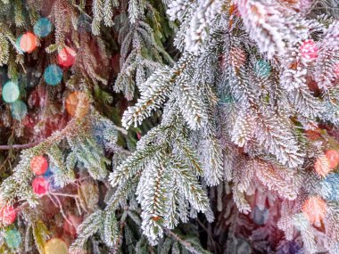 Önplanda parlayan renkli bokeh neşeli bir hava yaratıyor, sıcaklık ve kutlama atmosferi yaratıyor. Arka planda bir kış manzarası mevsimlik cazibenin büyülü bir karışımıyla Noel ve Yeni Yıl 'ın özünü yakalıyor..