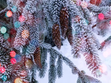 Önplanda parlayan renkli bokeh neşeli bir hava yaratıyor, sıcaklık ve kutlama atmosferi yaratıyor. Arka planda bir kış manzarası mevsimlik cazibenin büyülü bir karışımıyla Noel ve Yeni Yıl 'ın özünü yakalıyor..