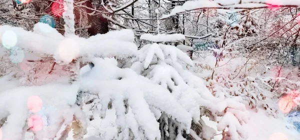 Önplanda parlayan renkli bokeh neşeli bir hava yaratıyor, sıcaklık ve kutlama atmosferi yaratıyor. Arka planda bir kış manzarası mevsimlik cazibenin büyülü bir karışımıyla Noel ve Yeni Yıl 'ın özünü yakalıyor..