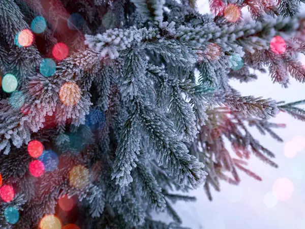 Önplanda parlayan renkli bokeh neşeli bir hava yaratıyor, sıcaklık ve kutlama atmosferi yaratıyor. Arka planda bir kış manzarası mevsimlik cazibenin büyülü bir karışımıyla Noel ve Yeni Yıl 'ın özünü yakalıyor..