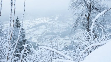 Karlı köknar ağaçları olan güzel kış manzarası. Fotokopi alanı ile noel ve yeni yıl tatili kavramı