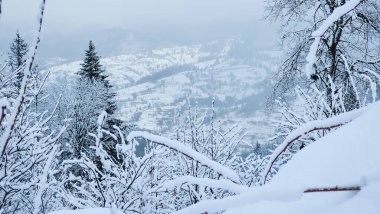 Karla kaplı ağaçlarla kaplı güzel kış manzarası