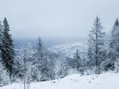 Kış mevsiminde karlı dağ manzarası