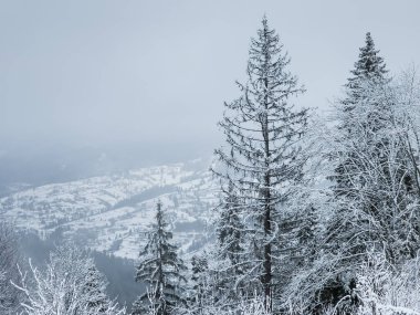 dağ manzarası ile kar kış
