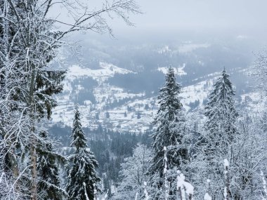 Güzel kış manzarası karla kaplı dağlarda
