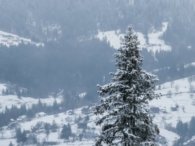 Alplerin kış manzarası