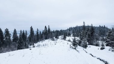 Dağlarda kış manzarası