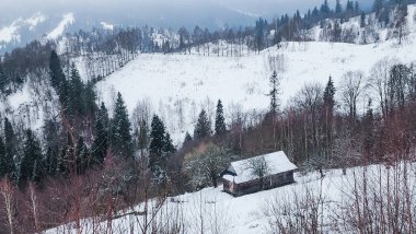 Karlı Dağ Ormanı manzarası