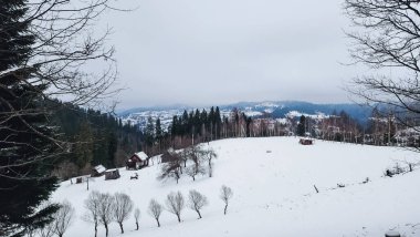 Karla kaplı ağaçlarla kaplı güzel kış manzarası