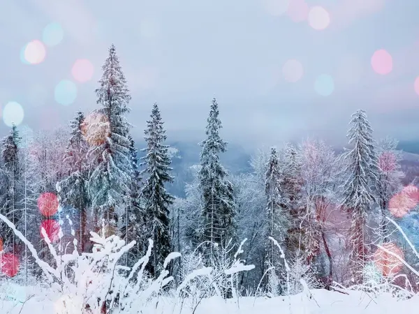 beautiful winter landscape with snow covered trees in the mountains