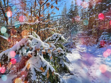 Şenlikli bir kış harikalar diyarı. Dağlar ve ağaçlar el değmemiş karla kaplanarak büyülü bir Noel ve yeni yıl manzarası yaratıyor. Doğanın cazibesi manzarayı dingin ve şenlikli bir resme dönüştürüyor. Renkli bokeh.