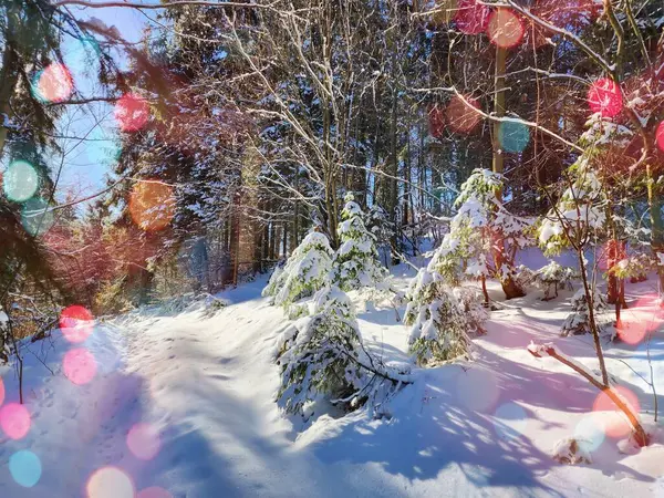 Şenlikli bir kış harikalar diyarı. Dağlar ve ağaçlar el değmemiş karla kaplanarak büyülü bir Noel ve yeni yıl manzarası yaratıyor. Doğanın cazibesi manzarayı dingin ve şenlikli bir resme dönüştürüyor. Renkli bokeh.