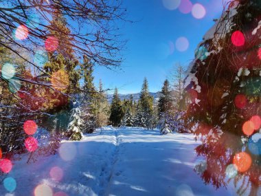 Şenlikli bir kış harikalar diyarı. Dağlar ve ağaçlar el değmemiş karla kaplanarak büyülü bir Noel ve yeni yıl manzarası yaratıyor. Doğanın cazibesi manzarayı dingin ve şenlikli bir resme dönüştürüyor. Renkli bokeh.