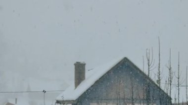 Karla kaplı ağaçlarla kaplı kış manzarası