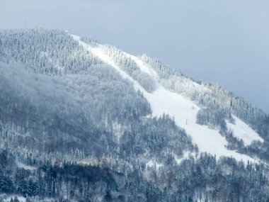 Kış manzarası karla kaplı ağaçların güzelliğiyle süslenir. Görkemli ve dingin bir manzara, doğanın saf bir kar örtüsüyle değişen sessiz zerafetini yakalar ve büyüleyici bir kış harikalar diyarı yaratır..