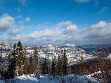 Kış manzarası karla kaplı ağaçların güzelliğiyle süslenir. Görkemli ve dingin bir manzara, doğanın saf bir kar örtüsüyle değişen sessiz zerafetini yakalar ve büyüleyici bir kış harikalar diyarı yaratır..