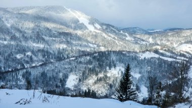 Kış manzarası karla kaplı ağaçların güzelliğiyle süslenir. Görkemli ve dingin bir manzara, doğanın saf bir kar örtüsüyle değişen sessiz zerafetini yakalar ve büyüleyici bir kış harikalar diyarı yaratır..