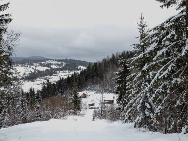 Ukrayna Karpatlarının dağlarında kışın yeni yıl manzarası