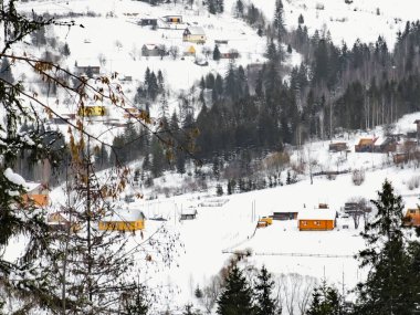 Ukrayna Karpatlarının dağlarında kışın yeni yıl manzarası