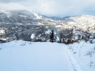 Ukrayna Karpatlarının dağlarında kışın yeni yıl manzarası