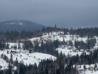Ukrayna Karpatlarının dağlarında kışın yeni yıl manzarası