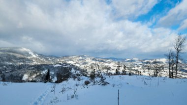 Ukrayna Karpatlarının dağlarında kışın yeni yıl manzarası