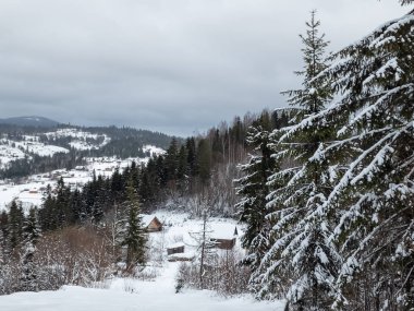 Ukrayna Karpatlarının dağlarında kışın yeni yıl manzarası