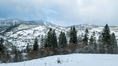 Karla kaplı ağaçlarla kaplı kış manzarası. Şenlik havası. Soğuk, bulutlu hava.