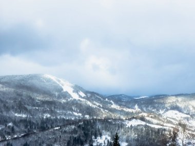 Karla kaplı ağaçlarla kaplı kış manzarası. Şenlik havası. Soğuk, bulutlu hava.