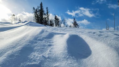 Karla kaplı ağaçlarla kaplı kış manzarası. Şenlik havası. Soğuk, bulutlu hava.