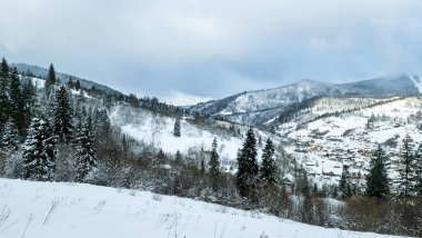 Karla kaplı ağaçlarla kaplı kış manzarası. Şenlik havası. Soğuk, bulutlu hava.