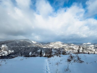 Karla kaplı ağaçlarla kaplı kış manzarası. Şenlik havası. Soğuk, bulutlu hava.