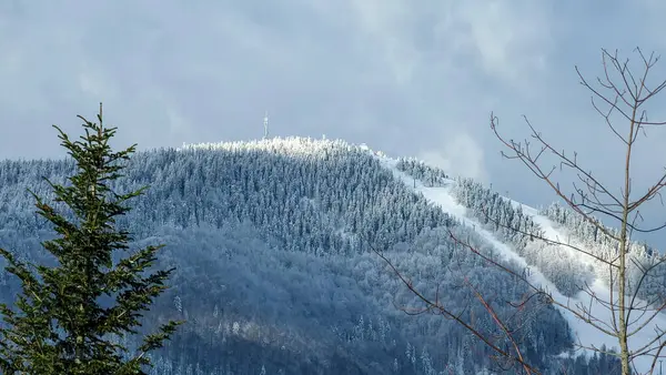 Kış manzarası karla kaplı ağaçların güzelliğiyle süslenir. Görkemli ve dingin bir manzara, doğanın saf bir kar örtüsüyle değişen sessiz zerafetini yakalar ve büyüleyici bir kış harikalar diyarı yaratır..