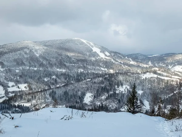 Ukrayna Karpatlarının dağlarında kışın yeni yıl manzarası