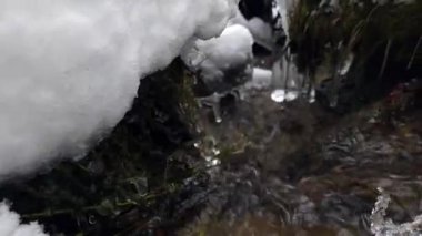 Kış ormanında donmuş şelale. şelale