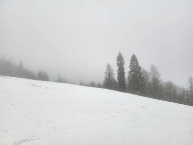 Karpatya dağlarında güzel karlı manzara
