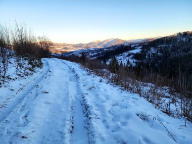 Karla kaplı ağaçlarla kaplı kış manzarası