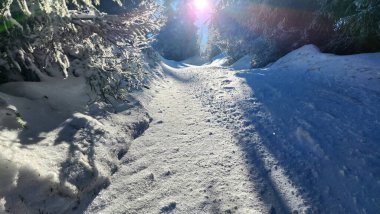 Ormanda dağları olan güzel bir manzara.