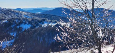 winter landscape with snow covered trees, mountains and forest