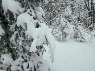 Karlı kış manzarası