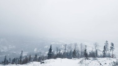 Karla kaplı ağaçları olan güzel bir manzara.