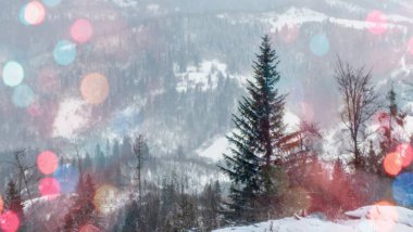 Dağlarda Noel ağacı ve kar ve renk bokeh