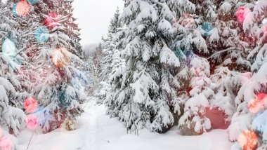 Dağlarda Noel ağacı ve kar ve renk bokeh