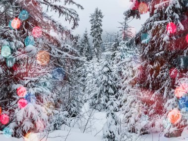 Dağlarda Noel ağacı ve kar ve renk bokeh