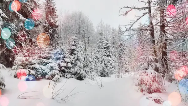 Dağlarda Noel ağacı ve kar ve renk bokeh