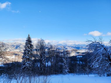 Karpatya dağlarındaki karlı dağ köyü. kış mevsimi