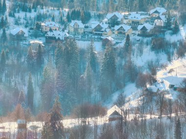 Kış orman havadan görünümü