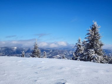 Karla kaplı dağlarla kaplı kış manzarası